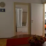 Paprika Grand *